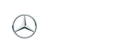 Performance Auto Group